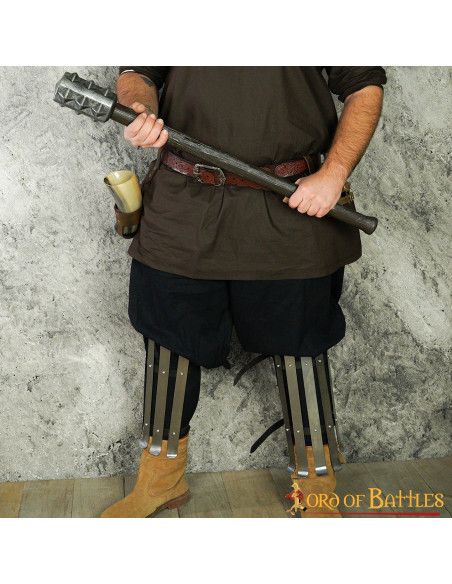 Schinieri vichinghi di Valsgarde,...