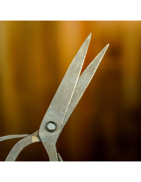 Forbici forgiate a mano in ferro antico