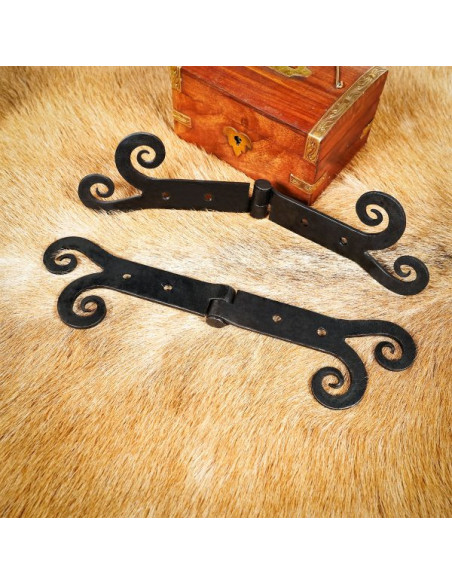 Coppia di cerniere per porte d'epoca...