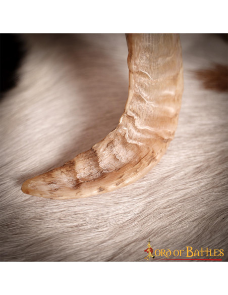 Corno da bere vichingo con...