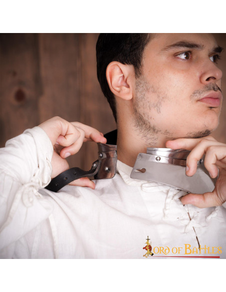 Piccola gorgiera da cavaliere...