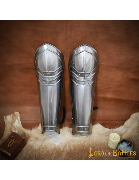 Schinieri da cavaliere fantasy...