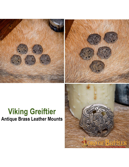 Set di 5 bottoni Viking Greiftier