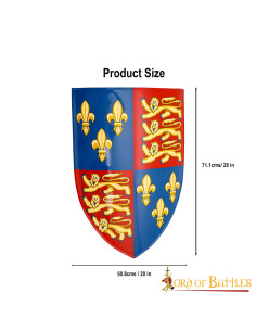 Scudo decorativo del re Enrico IV 2