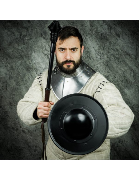 Scudo funzionale tondo in acciaio...