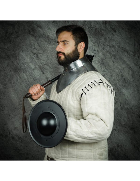 Scudo funzionale tondo in acciaio...