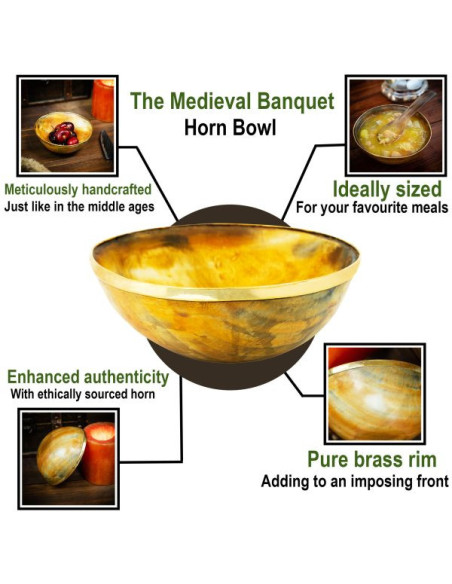 Ciotola in corno da banchetto vichingo