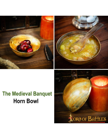 Ciotola in corno da banchetto vichingo