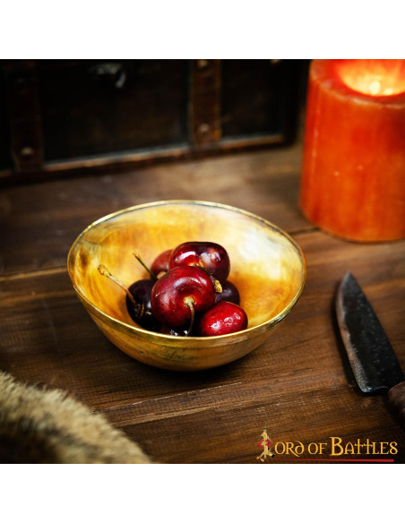 Ciotola in corno da banchetto vichingo