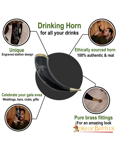 Stallone cornuto vichingo su corno di...