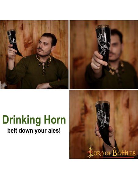 Stallone cornuto vichingo su corno di...