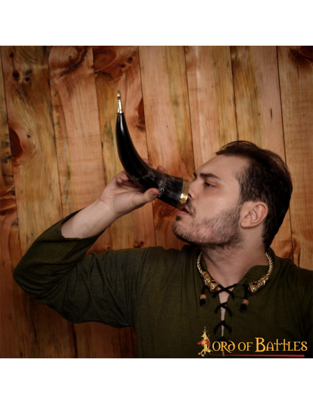 Stallone cornuto vichingo su corno di...