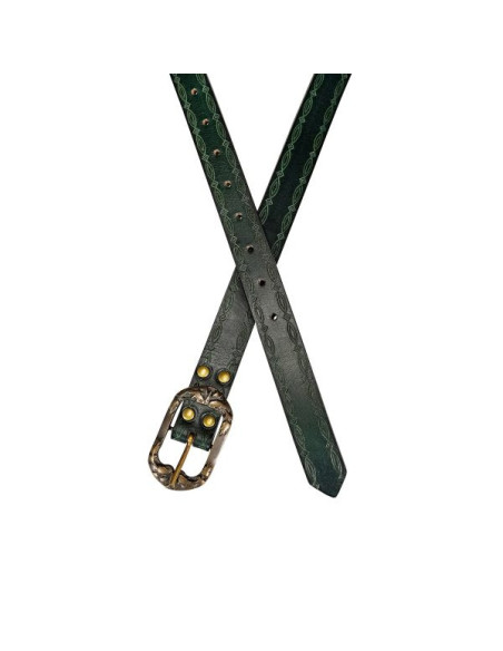 Green Belt Ranger del design del Nord