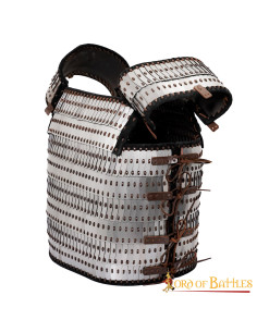 Armatura in scala vichinga con stecche e piastre visby 2