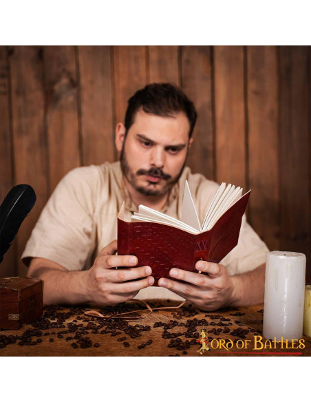 Diario medievale dell'albero della...