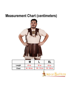 Corazza armatura greca Linothorax 2