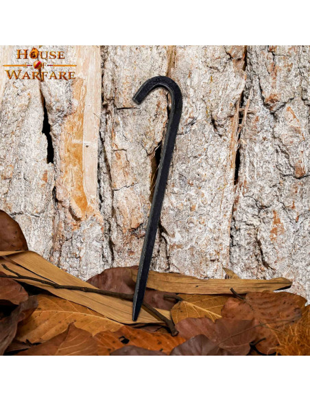 Picchetto per tenda (10")