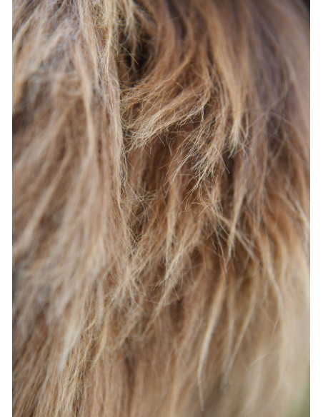 Montone nordico screziato per le spalle