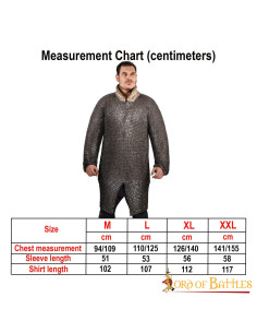 Cotta di Maglia ad Anelli Tondi Annerita 2
