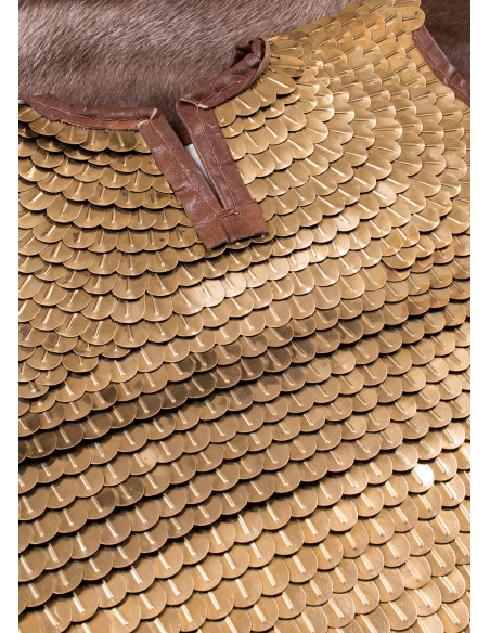 Lorica romana Squamata (100-250 d.C.)