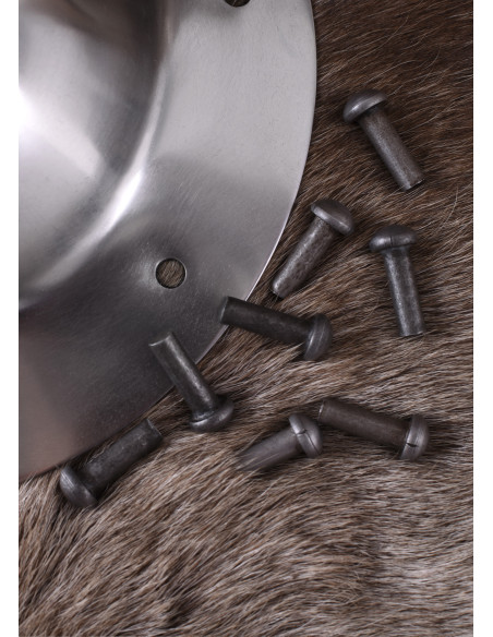 Umbo per scudo vichingo, con rivetti...