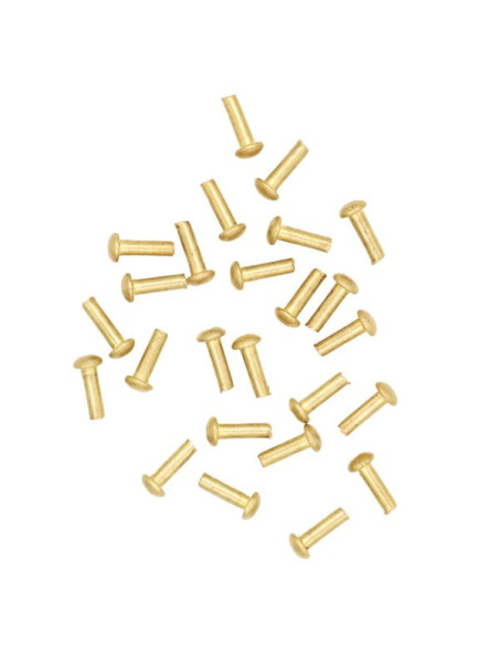 Set di 25 rivetti in ottone testa a...