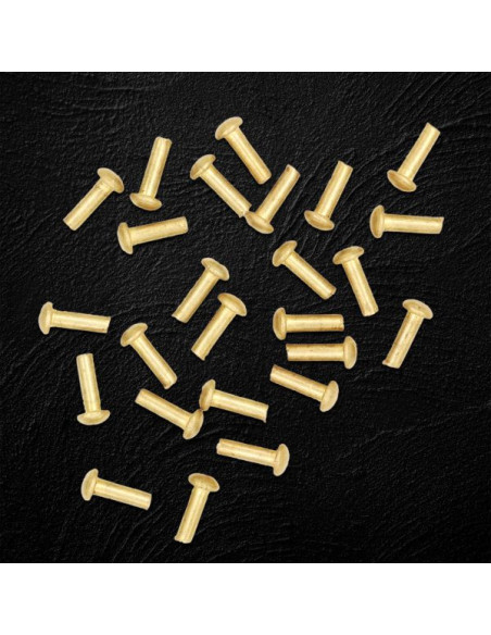Set di 25 rivetti in ottone testa a...