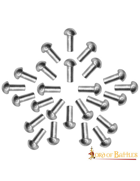 Set di 25 rivetti placcati in argento...