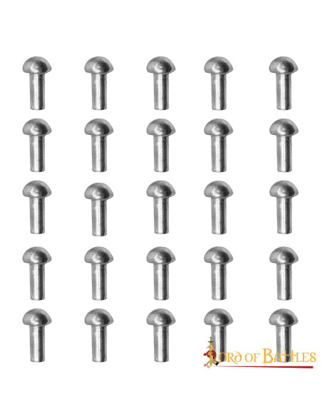Set di 25 rivetti placcati in argento...