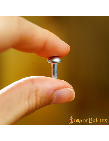 Set di 25 rivetti placcati in argento...