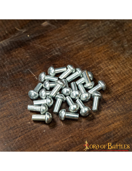 Set di 25 rivetti placcati in argento...