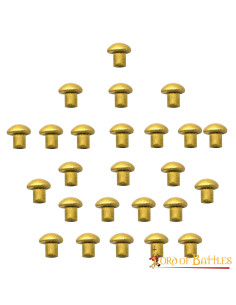 Set di 25 rivetti in ottone con testa a fungo, 0,5 cm.