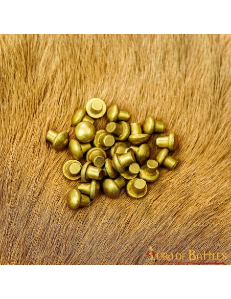 Set di 25 rivetti in ottone con testa...