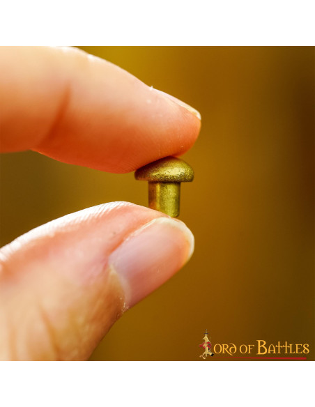 Set di 25 rivetti in ottone con testa...