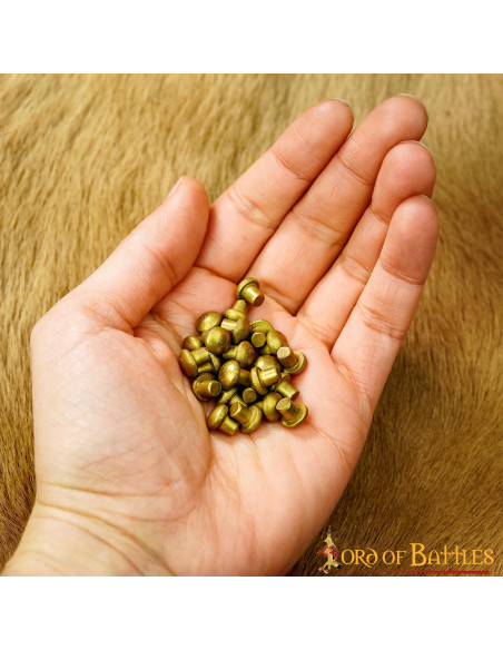 Set di 25 rivetti in ottone con testa...