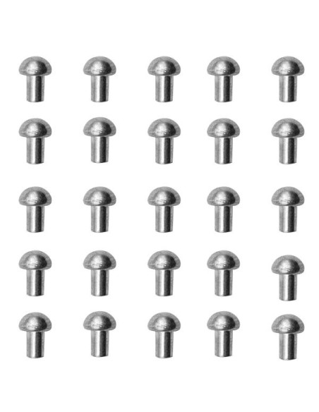Gioco di 25 rivetti argentati a testa...