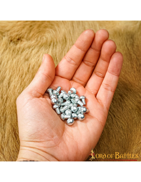 Gioco di 25 rivetti argentati a testa...