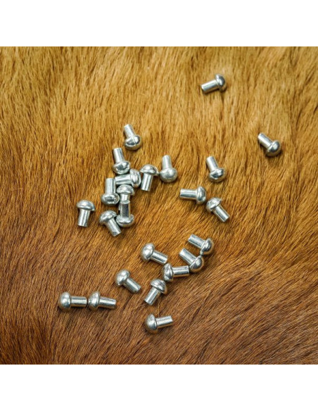 Gioco di 25 rivetti argentati a testa...