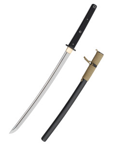 Wakizashi tattico Hanwei (78,7 cm.)