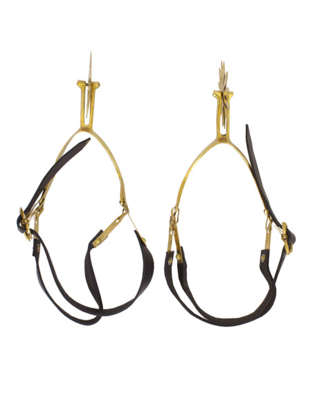 Speroni Churburg, ottone, coppia