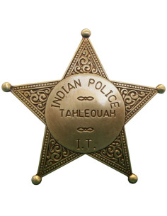 Distintivo della polizia indiana
