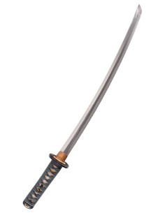 Cacciatore Hanwei Wakizashi (104,8 cm.) 2