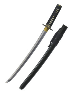 Wakizashi vento e tuono di Hanwei (67,3 cm.)
