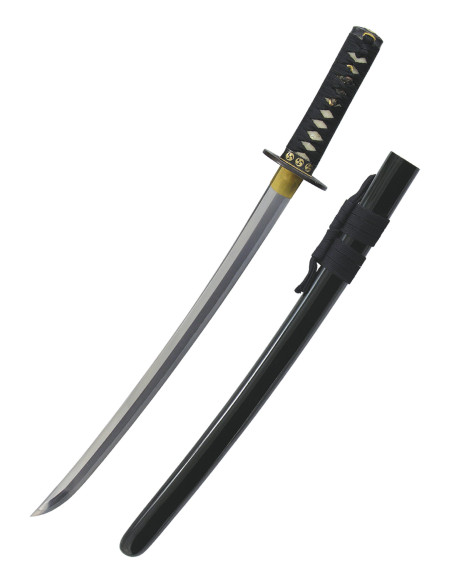 Wakizashi vento e tuono di Hanwei...