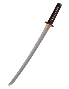 Cane leone Wakizashi di Hanwei (69,5 cm.) 2