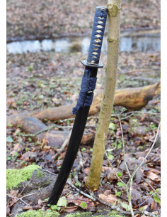 Rana Wakizashi Kaeru di Hanwei (70,5 cm.) 2