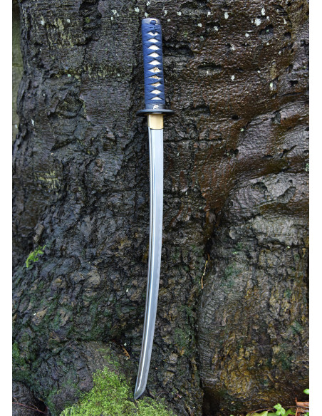 Rana Wakizashi Kaeru di Hanwei (70,5...