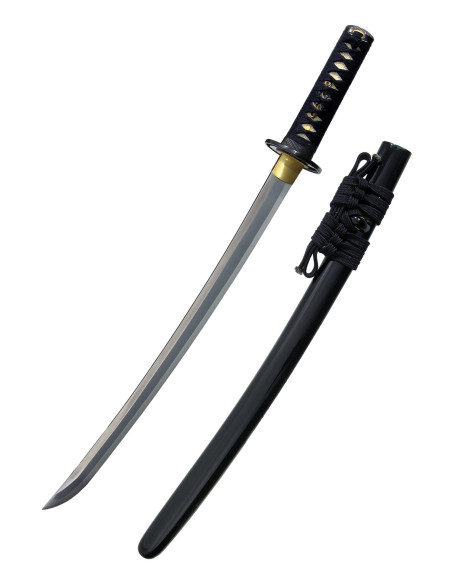Wakizashi Grande onda di Hanwei (67,3...