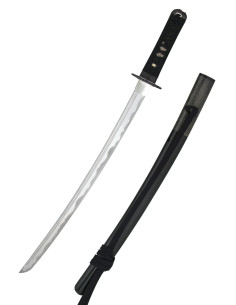 Wakizashi Iaito Tsuru di Hanwei (69,2 cm.)