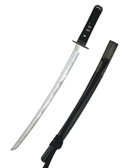 Wakizashi Iaito Tsuru di Hanwei (69,2...